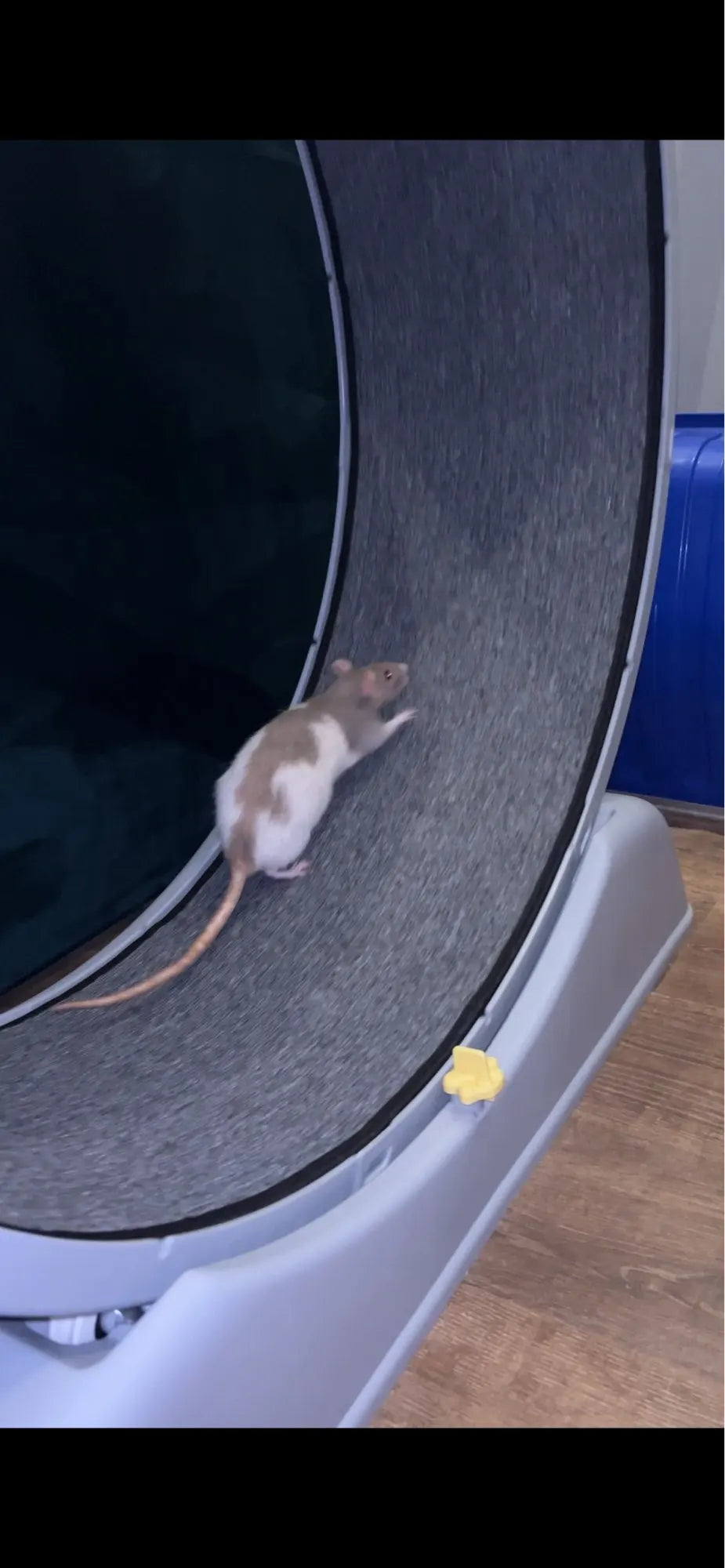 63f2edf4f6f442797bb5c43c050685b3