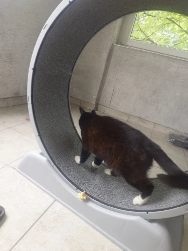 a513c5f5b7ab73cf5865cb4be6369d20