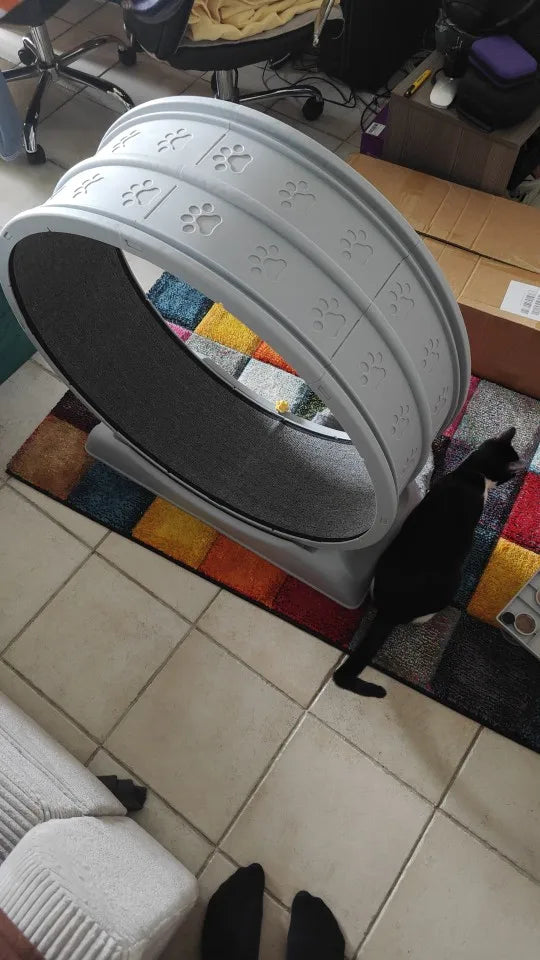 bdcb357944019e99f2c2f2bf6ee073ed