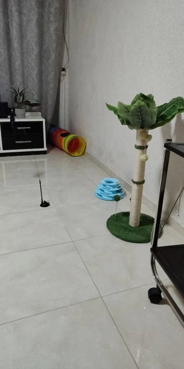 534295f311257b337b05df3ff065262e