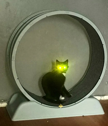 ed49bc6efecb439033f7bdfbee7bd14a