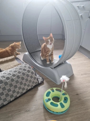 2fb571e7df116a3b13e932218dea1a98