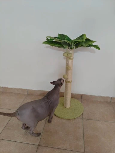 fb6e88caea17fc9d64f0aeeecd3eff2e