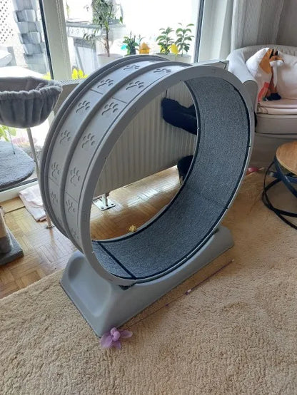 60e867a9ca7461eaea0ba75e5d783e21