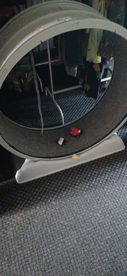 bd37775b902fff1698b12a8d8a58c4d5