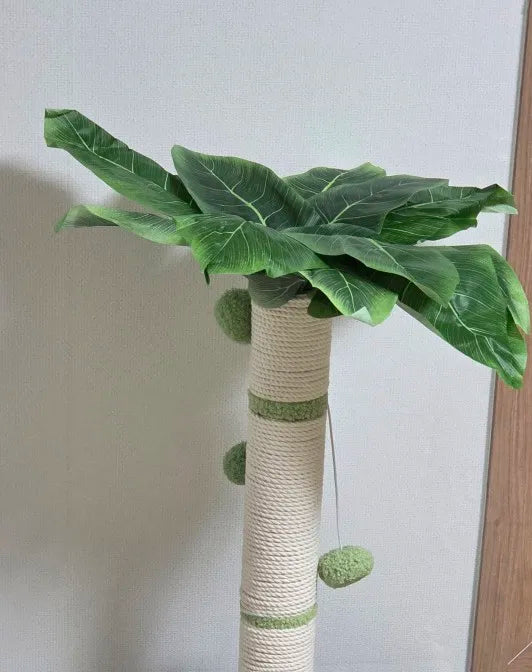 f77cd765b3fc2a3d4c45bb8434fb5800