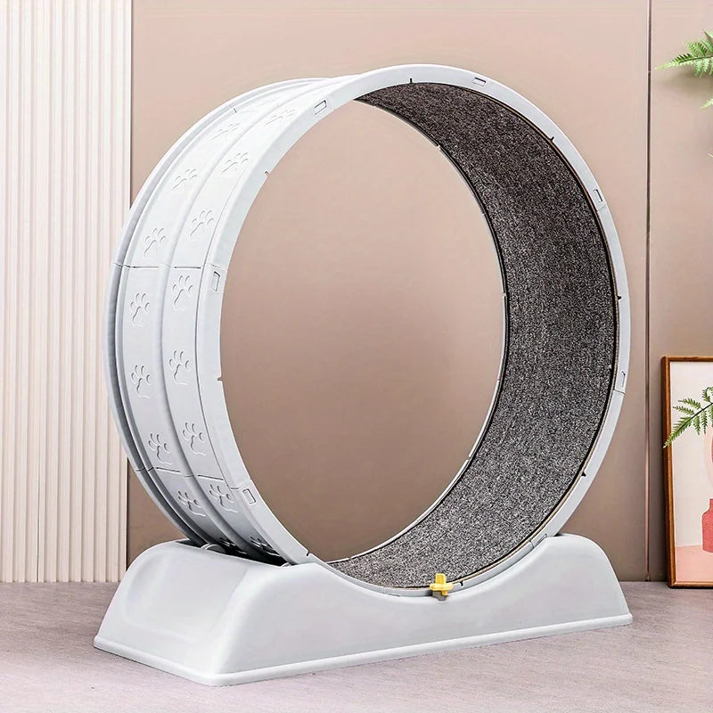 10a0501765fb5bc1fb79bea7da9a20a6